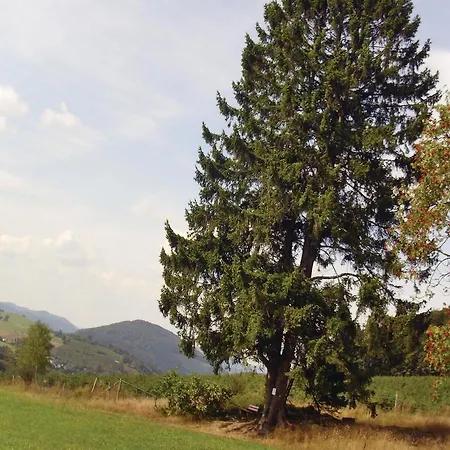 One-bedroom 04 * שמאלנברג